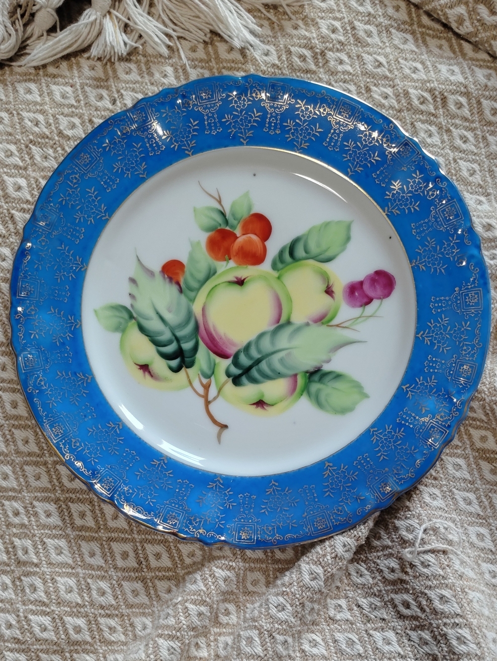 Blue Rim Fruit Motif Decorative Dinner Plate